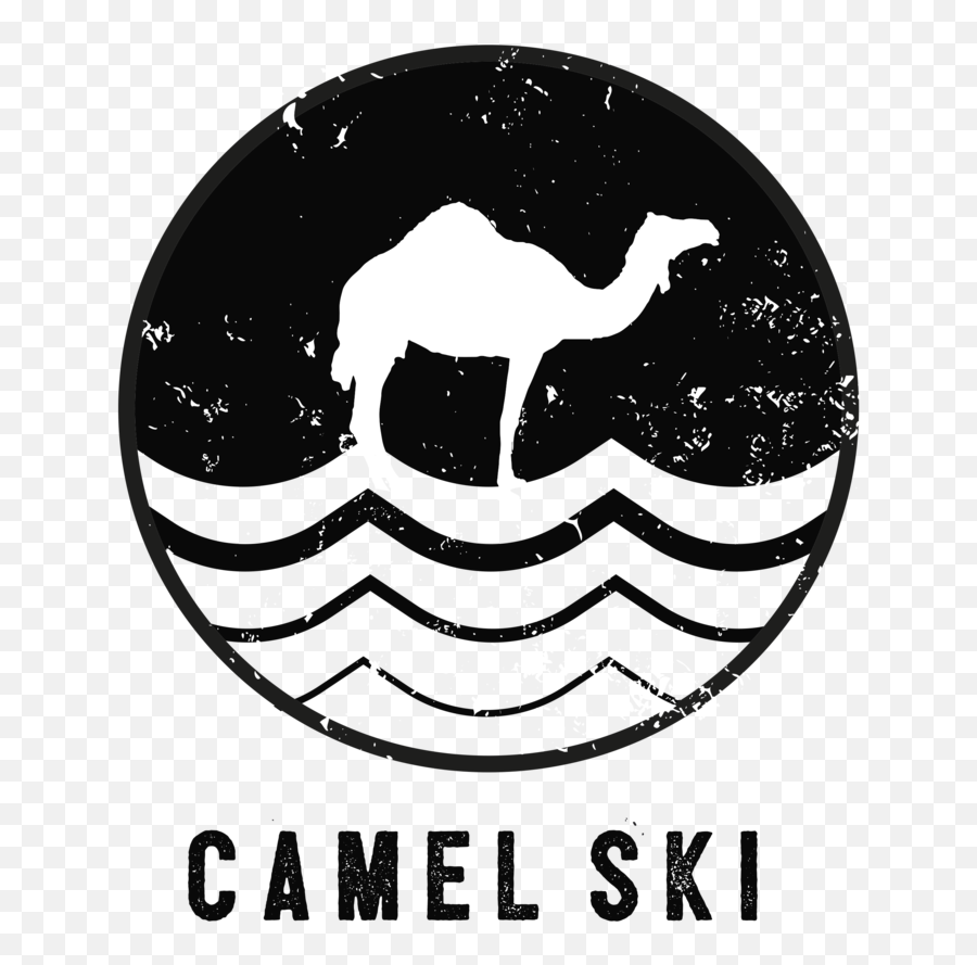 Camel Ski School - Arabian Camel Png,Camel Logo