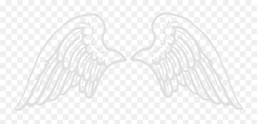 Wings Angel Large - Angel Wings Png Drawing,Angle Wings Png