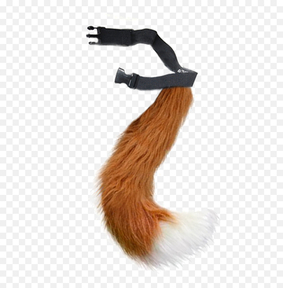 Fantastic Fox - 1 Real Fox Tail Png,Tails Png