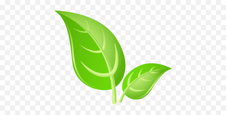 Green Leaves Png Images Hd Play - Green Leaf Png Hd,Leaf Png