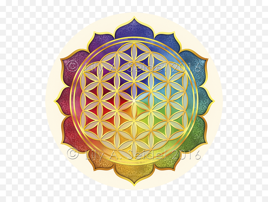 Sacred Geometry Overlapping Circles Grid Nelumbo Nucifera - Sacred Geometry Flower Of Life Symbol Png,Flower Of Life Png