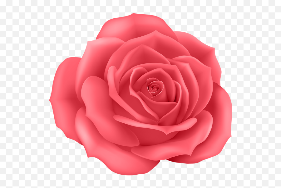 Rose Png Flower Images Free Download - Pink Cartoon Rose Png,Flower Cartoon Png