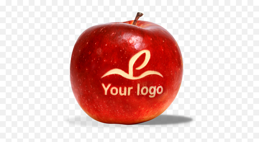 Personalized Apples Marked Inc - Apple Png,Apples Png