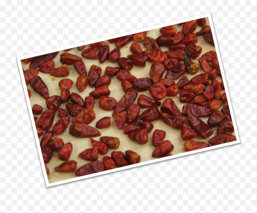 Download Raisin Png Image With No - Raisin,Raisin Png