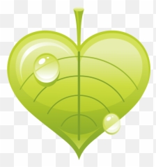 Leave Png Clip Art - Graphic Design