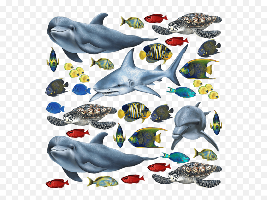 Tropical Fish And Sea Creatures Collection Economy Size - Fish Png Collection,Tropical Fish Png