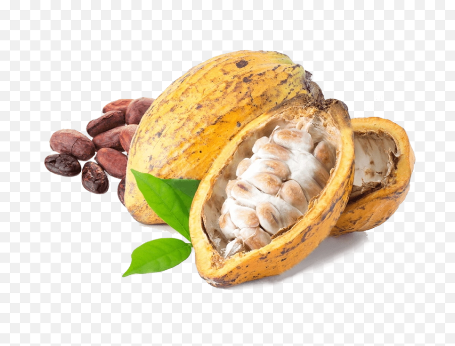 Download Snickers Png Image For Free - Cacao Png,Snickers Png