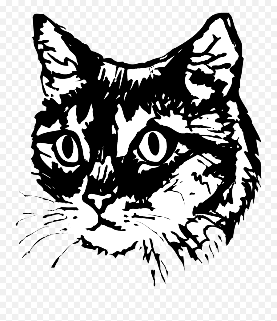 Library Of Cat Face Jpg Black And White - Cat Black And White Illustration Png,Cat Face Transparent Background