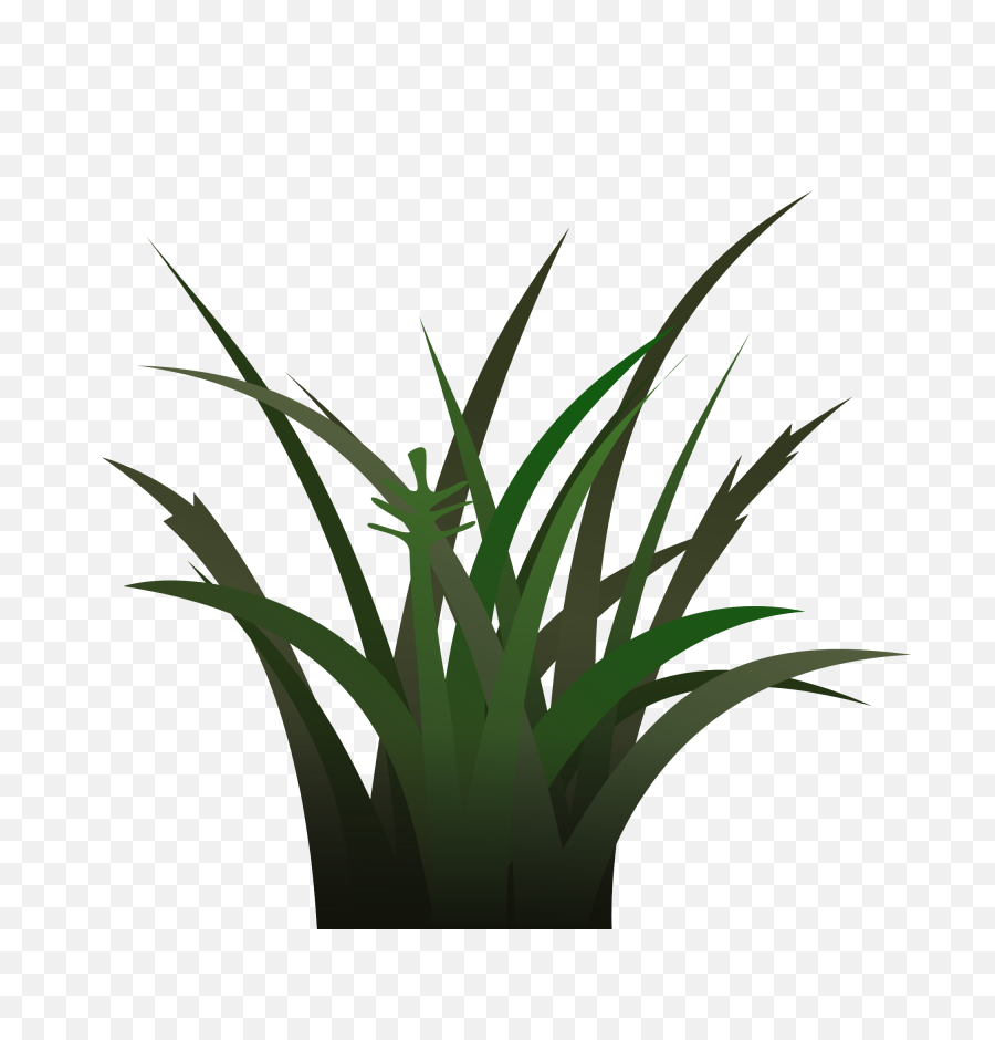 Plantleafaloe Png Clipart - Royalty Free Svg Png Dark Green Grass Cartoon,Aloe Png