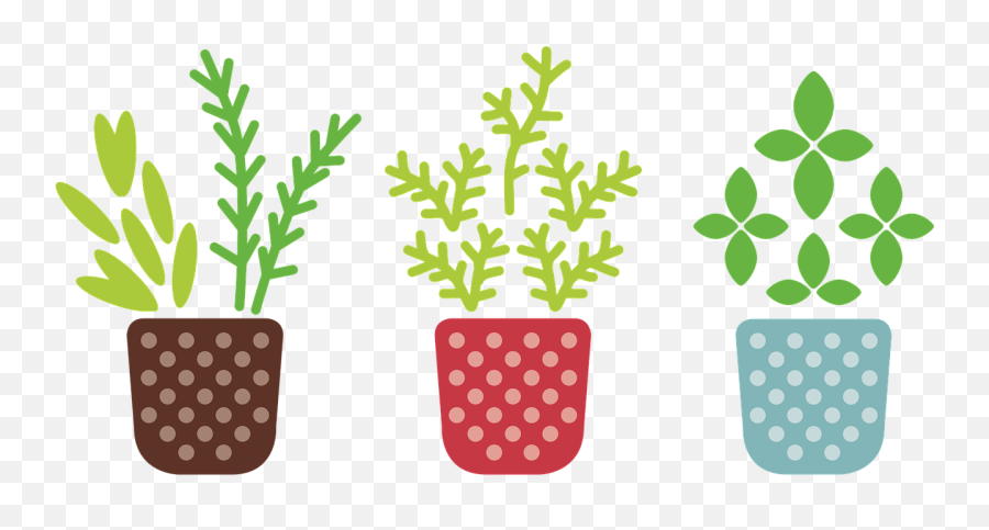 Best Indoor Plants For Air Purification Home Gardening - Plant Clipart No Background Png,Indoor Plant Png