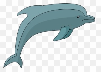 Download Dolphin Clipart - Common Bottlenose Dolphin Hd Png Delfin Clipart,Dolphins Png