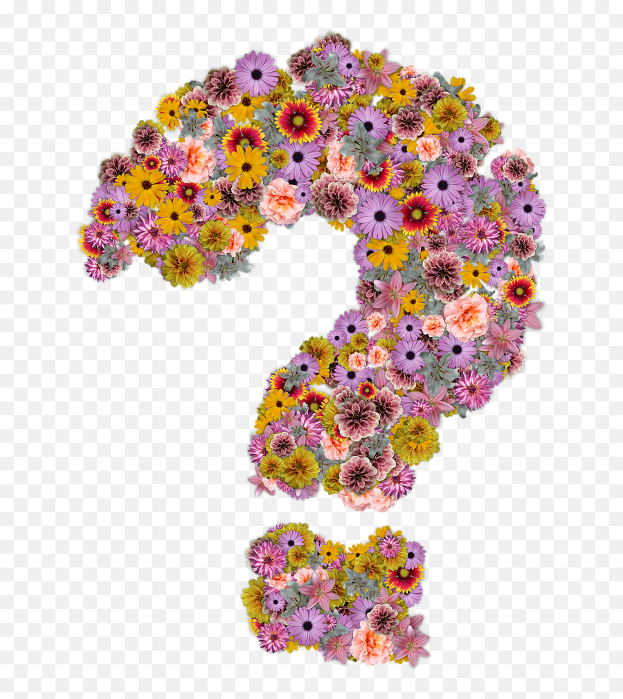 Question Mark Flowers Design - Free Image On Pixabay Flower Question Mark Png,Questionmark Png