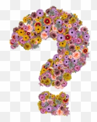 Question Mark Flowers Design - Free image Pixabay Png