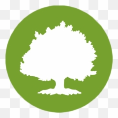 Download Large Tree - Oak Street Health Logo Full Size PNG Png
