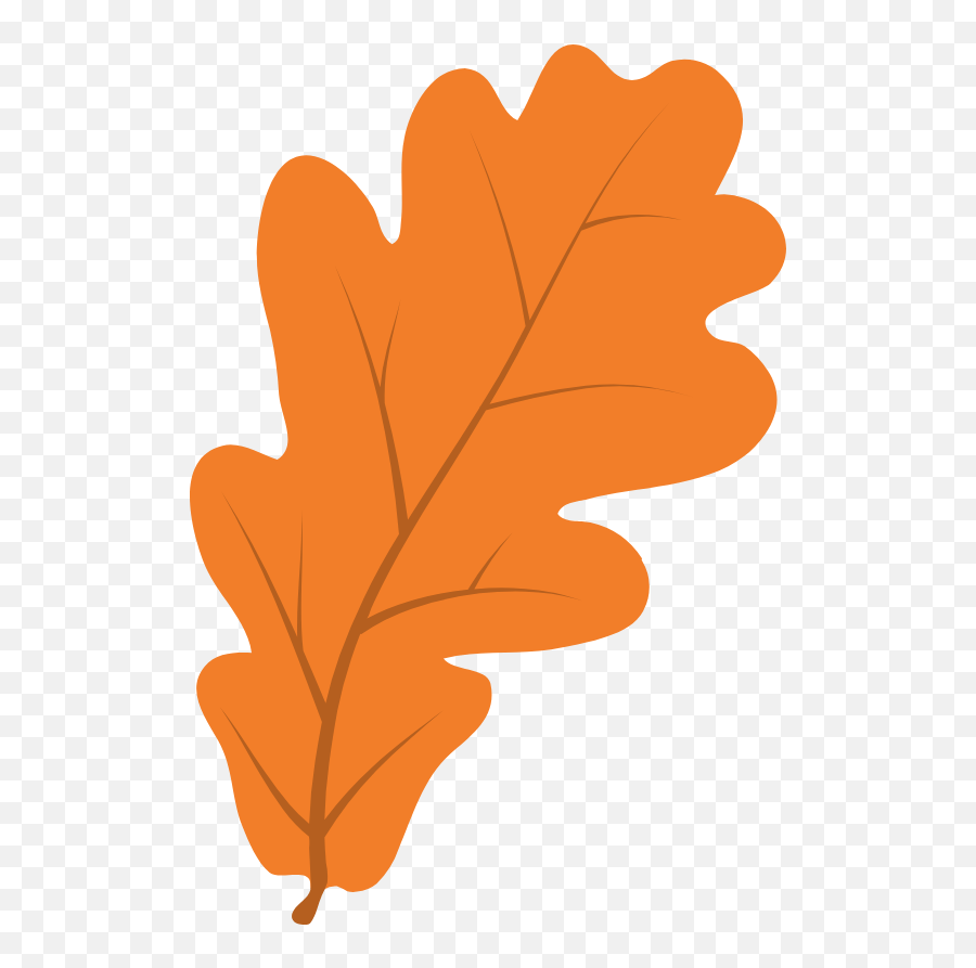 Clear Oak Leaf Graphic - Autumn Png,Oak Leaf Png