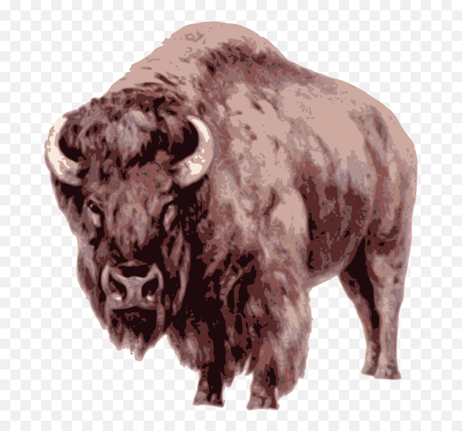 Openclipart - Clipping Culture American Bison Png,American Buffalo In Search Of A Lost Icon