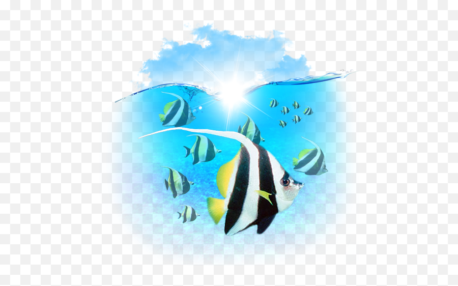 Hd 3d Icons 512x512 Png Files Fish Icon Collage - Angelfish,Sea Monster Icon