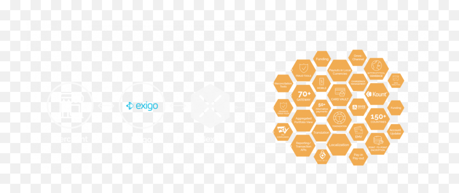 Tokenization Hub - Exigo Managing The Chaos Of Payments Png,Chaotic Icon