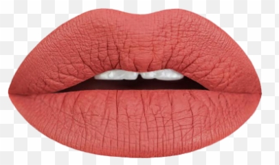 Terra Cotta Matte Liquid Lipstick - Nude Terracotta Colour png
