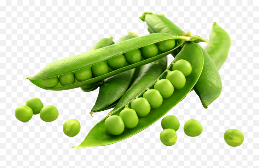 Download Peas Png - Green Peas Png,Peas Png