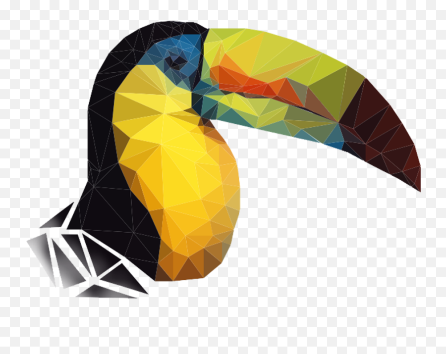 Tucan Png - Toucans,Tucan Png