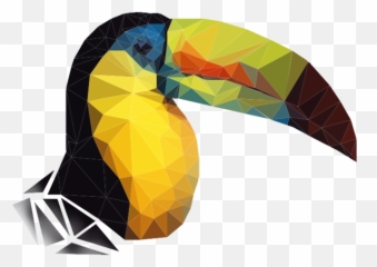 Tucan Png - Toucans,Tucan Png