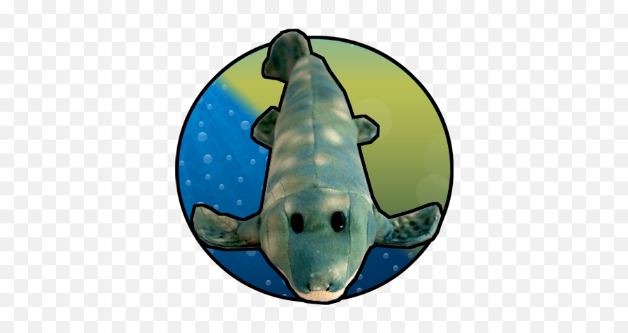 Paleozoic Pals Tiktaalik Plush U2013 Paleontological Research - Ground Sharks Png,Plush Icon