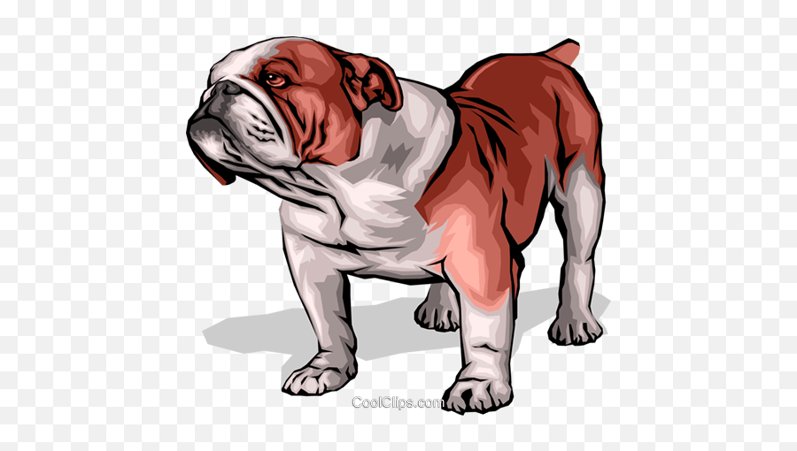 Bulldog Royalty Free Vector Clip Art Illustration - Anim0043 Bulldog Png,Bulldog Transparent Background