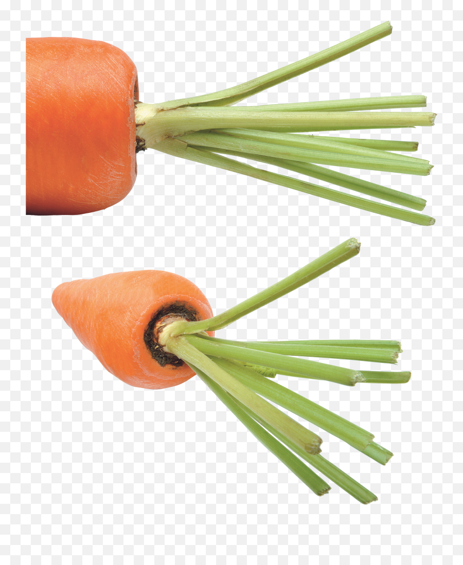 Download Carrot Png Image For Free - Carrot,Carrots Png
