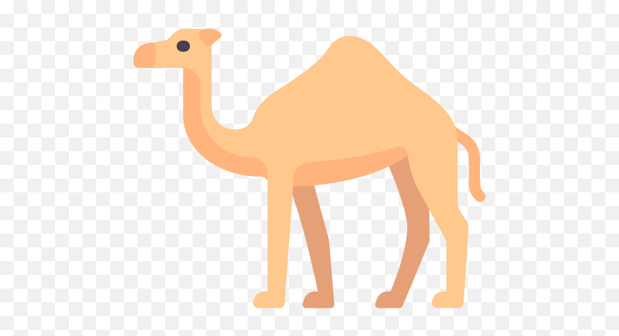 Camel - Camel Icon Png,Camel Png