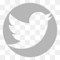 Category Chelyabinsk - Twitter Logo Transparent Background png