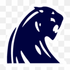 Dewitt - Team Home Panthers Sports Dewitt High School png