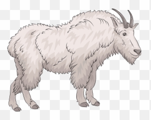 Mountain Goat Clipart Free Download Transparent Png - Clipart