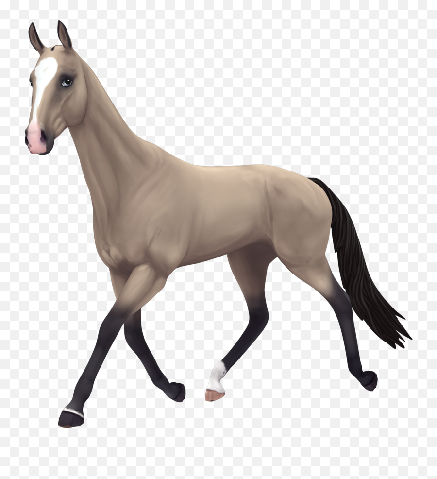 Download Free Fan Art Resources Star Stable - Star Stable Buttermilk Buckskin Akhal Teke Png,Horse Transparent Png