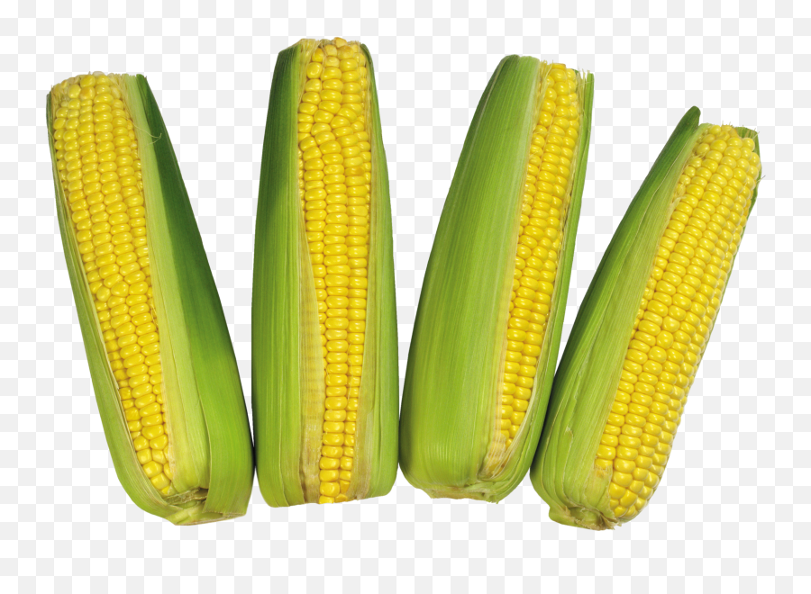 Corn Png Image Without Background - Maize,Corn Png