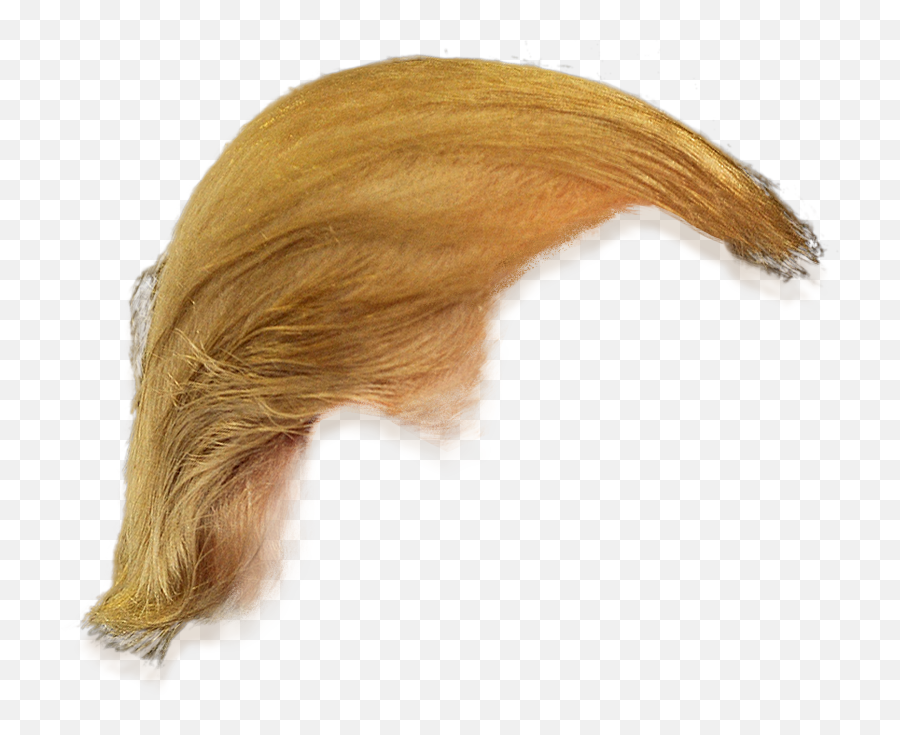 Trump Hair Png Hd Pictures - Vhvrs Donald Trump Hair Only,Trump Png