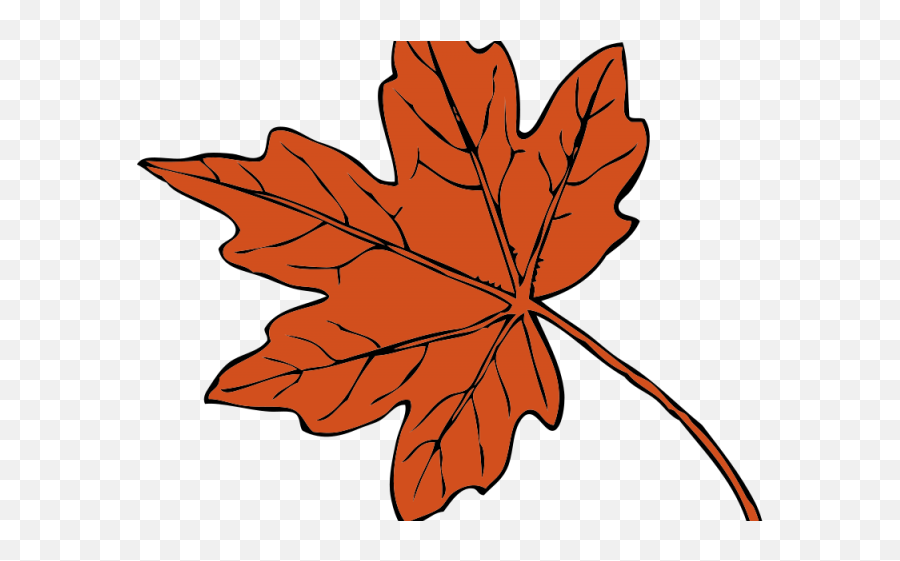 Leaves Clipart Leef - Thanksgiving Leaf Clip Art Png Fall Leaves Clip Art,Thanksgiving Leaves Png