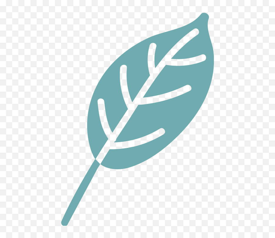 Leaf Png Logo