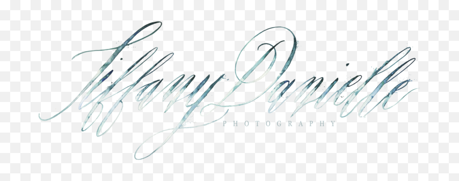 Weddings Wedding Photography Photographer Vero Beach - Calligraphy Png,Photography Logo