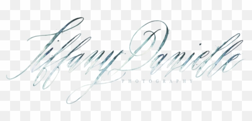 Weddings Photography Photographer Vero Beach - Calligraphy png