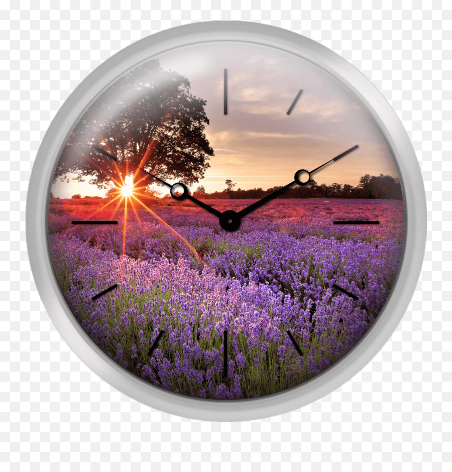 Xpress Clocks - Gallery Lavender Field Lavendel Mohn Png,Purple Lens Flare Png