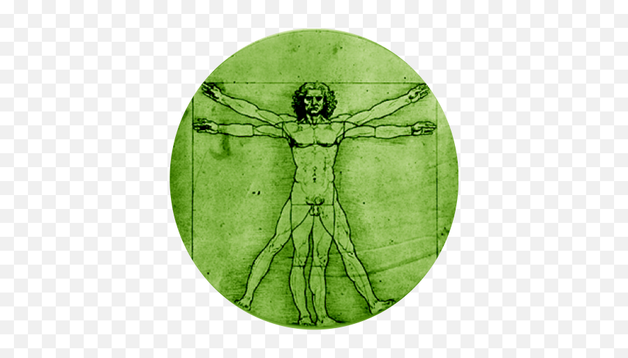 Pentacle Of The Garden - Leonardo Da Vinci Range Of Motion Png,Pentacle Transparent