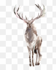 Download Creative Elk Design Transparent Watercolor - Design Elk Png,Elk Png