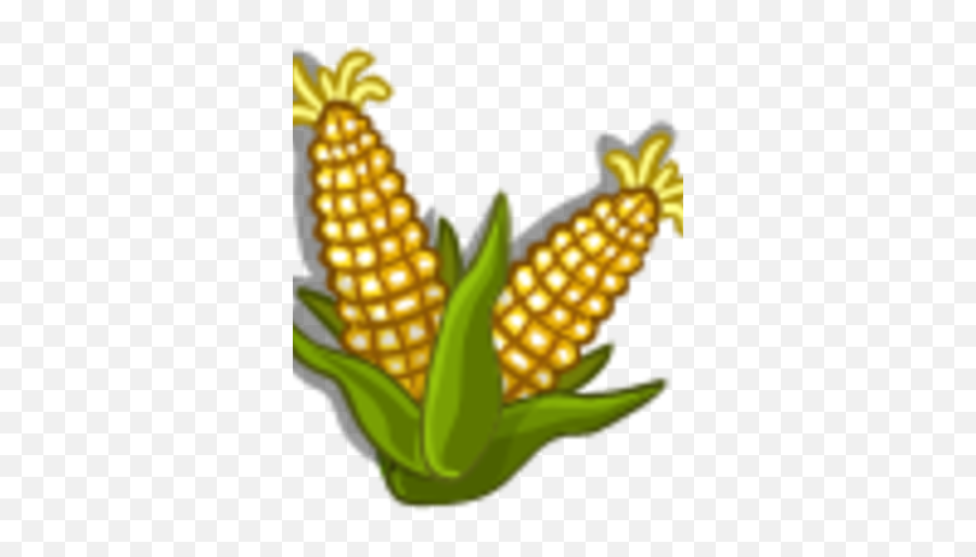 Sweet Corn Australia Farmville Wiki Fandom - Floral Design Png,Corn Stalk Png