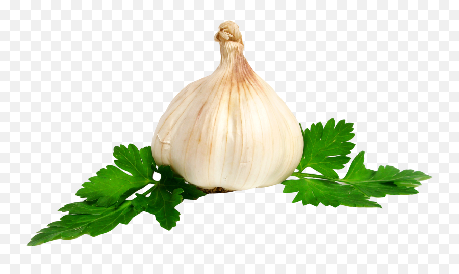 Garlic Png Image - Png Garlic No Background,Garlic Transparent Background