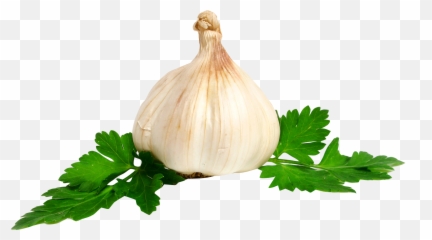 Garlic Png Image - No Background