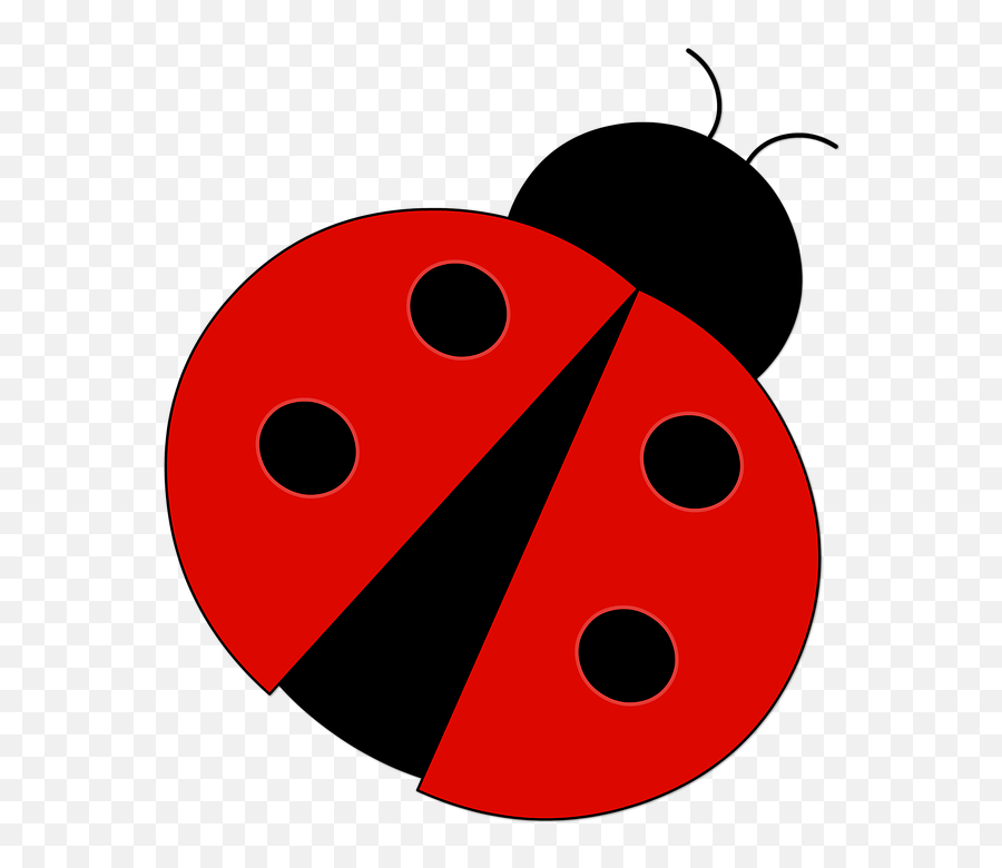 Joaninha Ladybug, HD Png Download - 770x982(#2522069) - PngFind