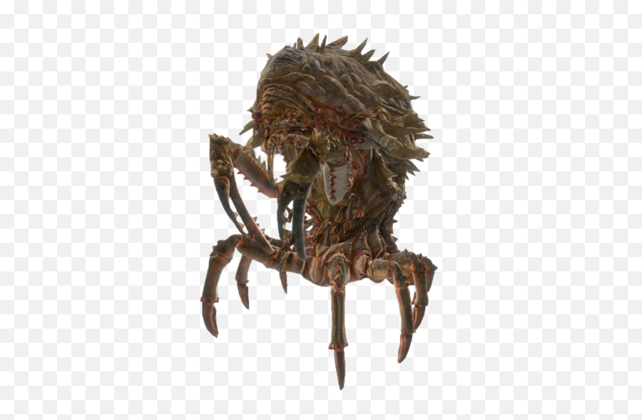 Fallout Fandom - Mirelurk Queen Fallout 4 Png,Blue Crab Png