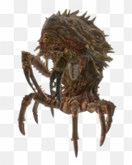 Fallout Fandom - Mirelurk Queen Fallout 4 Png,Blue Crab Png