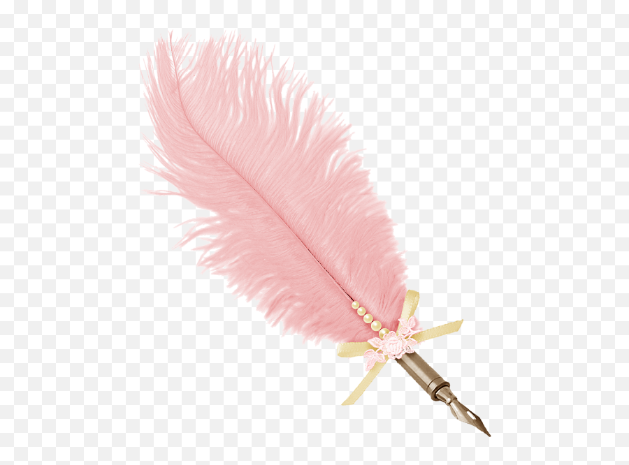 Download Pink Feathers Photo - Feather Pen Png Transparent Pink Feathers Png Free,Quill Png